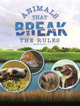 Library Binding Animals That Break the Rules Book