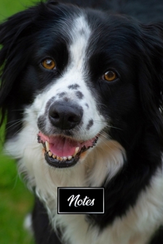 Border Collie Dog Pup Puppy Doggie Notebook Bullet Journal Diary Composition Book Notepad - Brown Eyes: Cute Animal Pet Owner Composition Book with 100 Unruled Plain Blank Paper Pages in 6” x 9” Inch