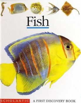 Spiral-bound Fish [With 6 Transparent Overlays] Book