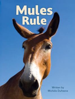 Mules Rule