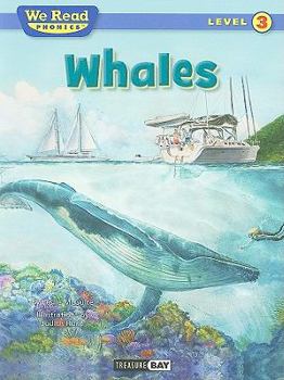 Paperback Whales Book