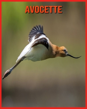 Paperback Avocette: D?couvrez les Arowana et Admirez des Images Color?es [French] Book