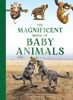 Hardcover The Magnificent Book of Baby Animals Book
