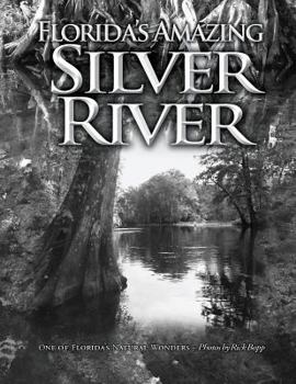 Paperback Florida's Amazing Silver River: One of Florida's Natural Wonders Book