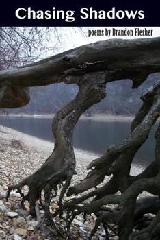 Paperback Chasing Shadows Book