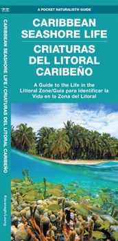 Paperback Caribbean Seashore Life (Criaturas del Litoral Caribeno): A Guide to the Life in the Littoral Zone (Bilingual) Book