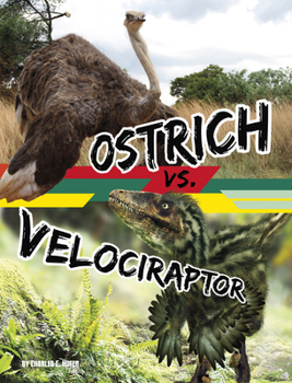 Library Binding Ostrich vs. Velociraptor Book