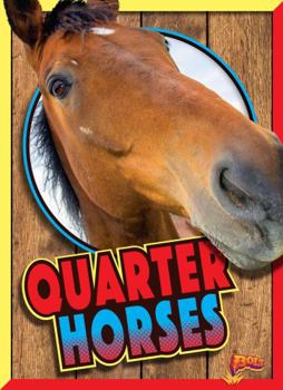Library Binding Quarter Horses Book