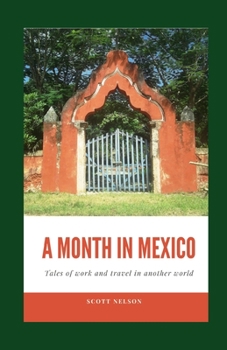 Paperback A Month In Mexico: Tales of work and travel in another world Book
