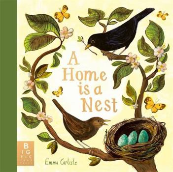 HOME IS A NEST, A (PICTURE BOOK)