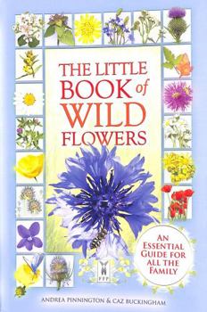 The Little Book Of Wild Flowers: A Visual Guide for all the Family: Part of The Little Books series