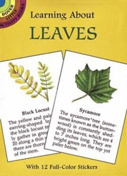 Paperback Learning about Leaves [With Tree Leaves] Book