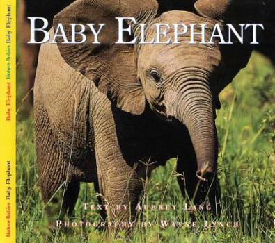 Paperback Baby Elephant Book