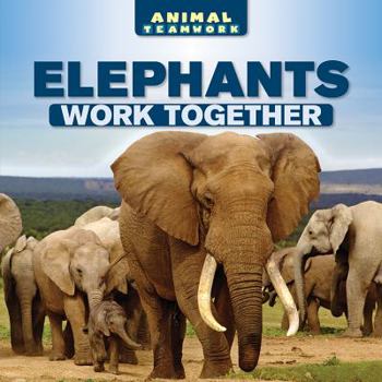 Elephants Work Together