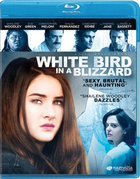 White Bird in a Blizzard