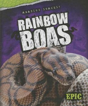 Rainbow Boas - Book  of the Amazing Snakes!