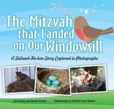 Hardcover Mitzvah That Landed on My Windowsill Book