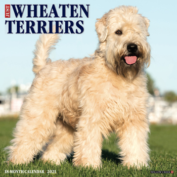 Calendar Just Wheaton Terriers 2021 Wall Calendar (Dog Breed Calendar) Book