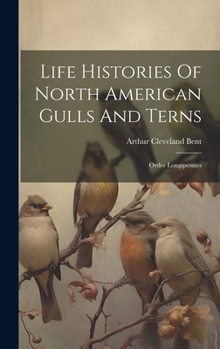 Hardcover Life Histories Of North American Gulls And Terns: Order Longipennes Book