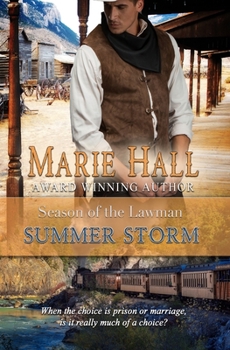 Paperback Summer Storm: A Steamy Old West Romance Book