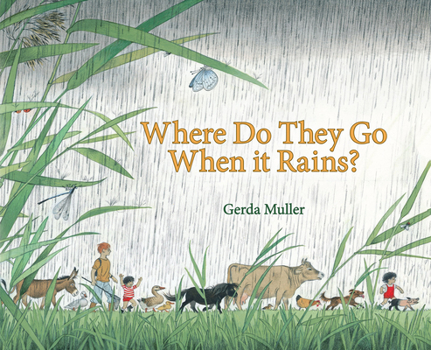 Hardcover Where Do They Go When It Rains? Book