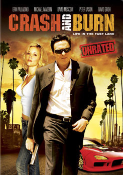 DVD Crash & Burn Book