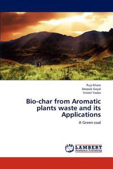 Paperback Resilience and Protective Factors Book