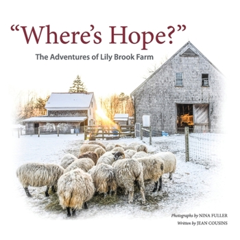 Paperback "Where's Hope?": The Adventures of Lily Brook Farm Book