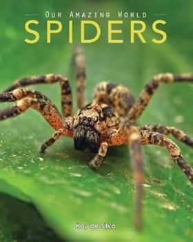 Paperback Spiders: Amazing Pictures & Fun Facts on Animals in Nature Book