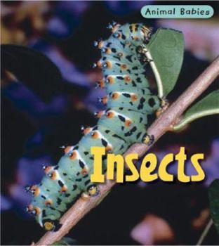 Library Binding Insects Book