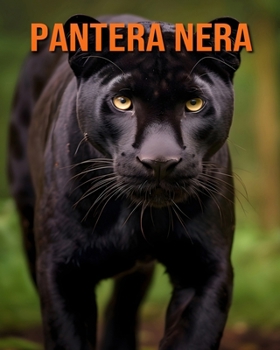 Pantera nera: Un fantastico libro illustrato sugli animali per bambini (Italian Edition)