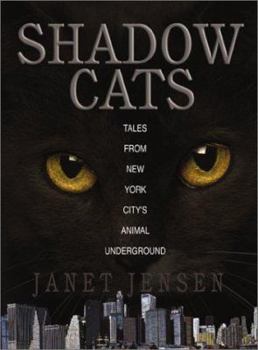 Paperback Shadow Cats Book