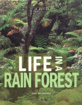 Hardcover Life in a Rain Forest Book