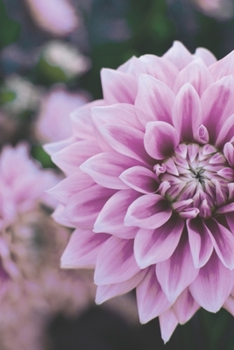 Journal: 150 Lined & Dated Pages, 6x9 Inch Notebook With An Inspiring Purple Flower, Diary for Writing, Brainstorming, Note-Taking, Relieving Stress & More