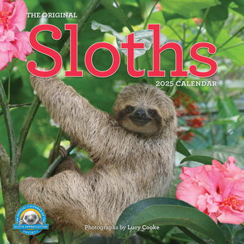 Calendar Original Sloths Wall Calendar 2025: The Ultimate Experts at Slowing Down Book