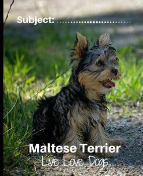 Paperback Maltese Terrier - Live Love Dogs!: Composition Notebook for Dog Lovers Book