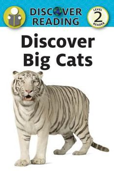 Paperback Discover Big Cats Book