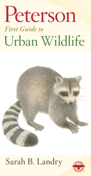 Paperback Peterson First Guide to Urban Wildlife Book