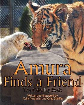 Paperback Amura Finds a Friend Book