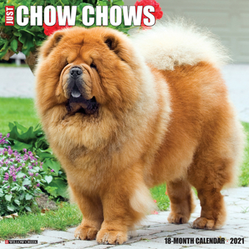 Calendar Just Chow Chows 2021 Wall Calendar (Dog Breed Calendar) Book
