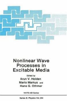 Hardcover Nonlinear Wave Processes in Excitable Media Book