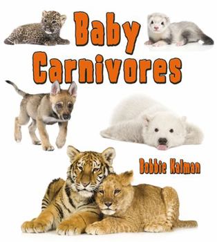 Paperback Baby Carnivores Book