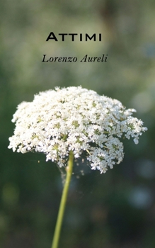 Paperback Attimi [Italian] Book