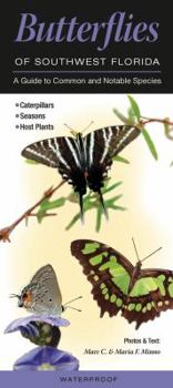 Pamphlet Butterflies of Southwest Florida: A Guide to Common & Notable Species Book