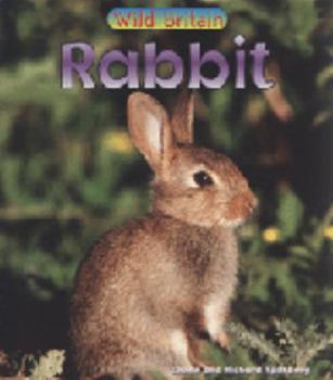 Paperback Rabbit Book