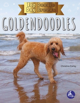 Paperback Goldendoodles Book