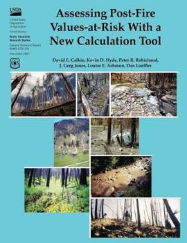 Paperback Assessing Post-Fire Values-At-Risk With a New Calculation Tool Book