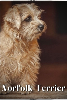 Paperback Norfolk Terrier: Dog breed overview and guide Book