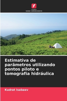 Estimativa de parâmetros utilizando pontos piloto e tomografia hidráulica (Portuguese Edition)
