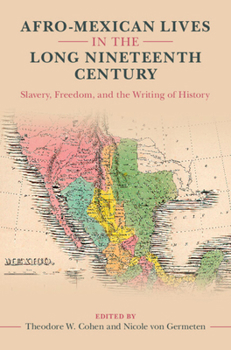 Hardcover Afro-Mexican Lives in the Long Nineteenth Century: Slavery, Freedom, and the Writing of History Book